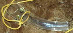 HornGelbb